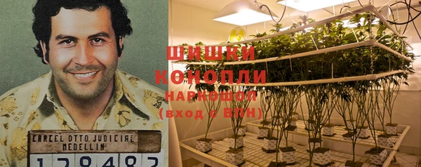 молекула духа Карпинск