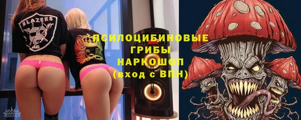 молекула духа Карпинск