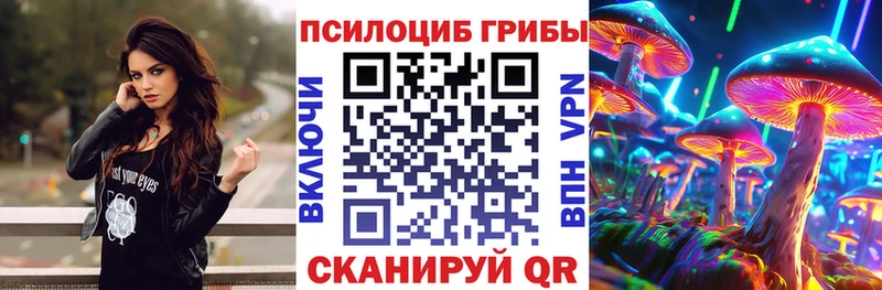 Галлюциногенные грибы Psilocybe  Купить  Борисоглебск 