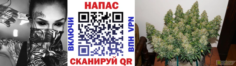 Шишки марихуана THC 21% Борисоглебск